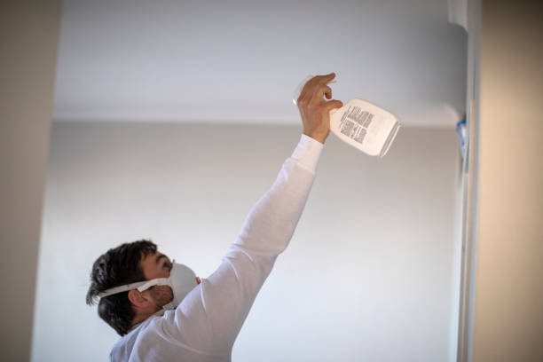 Professional Mold Remediation in Windcrest, TX
